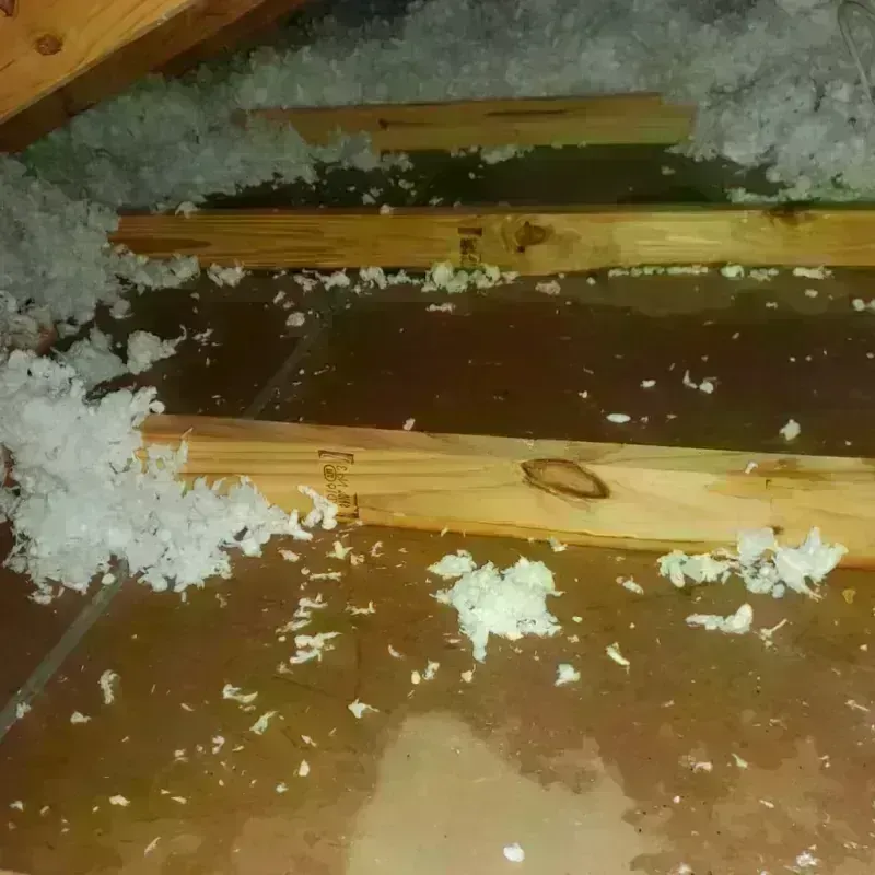 Attic Water Damage in Sterling, IL