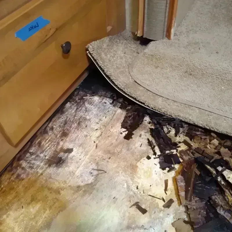 Best Wood Floor Water Damage Service in Sterling, IL